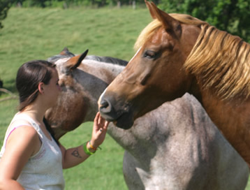 Taylor and her horses